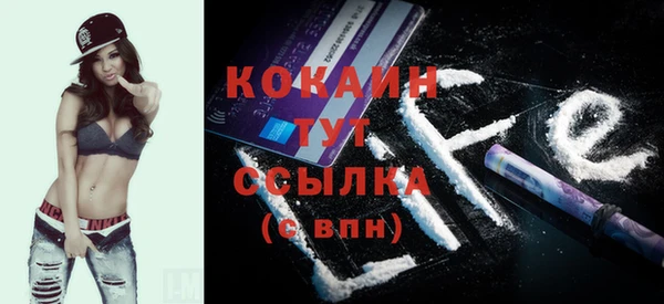 шишки Горнозаводск