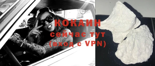 Альфа ПВП Горняк
