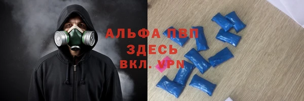 Альфа ПВП Горняк