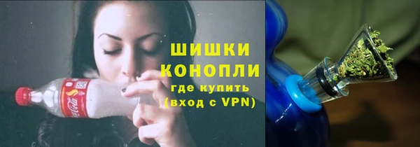Альфа ПВП Горняк