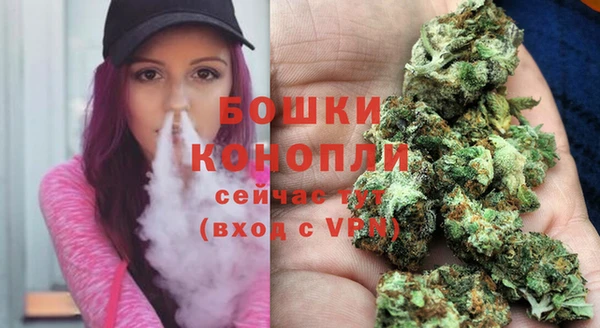 Альфа ПВП Горняк