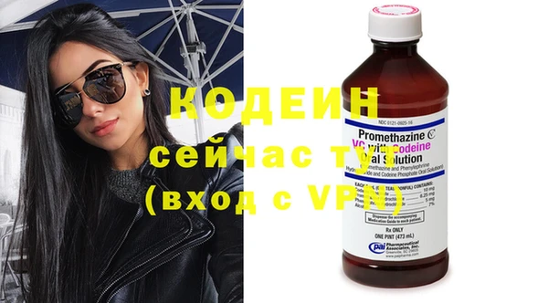 шишки Горнозаводск
