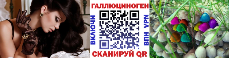 Купить  Малоархангельск  Псилоцибиновые грибы мицелий 